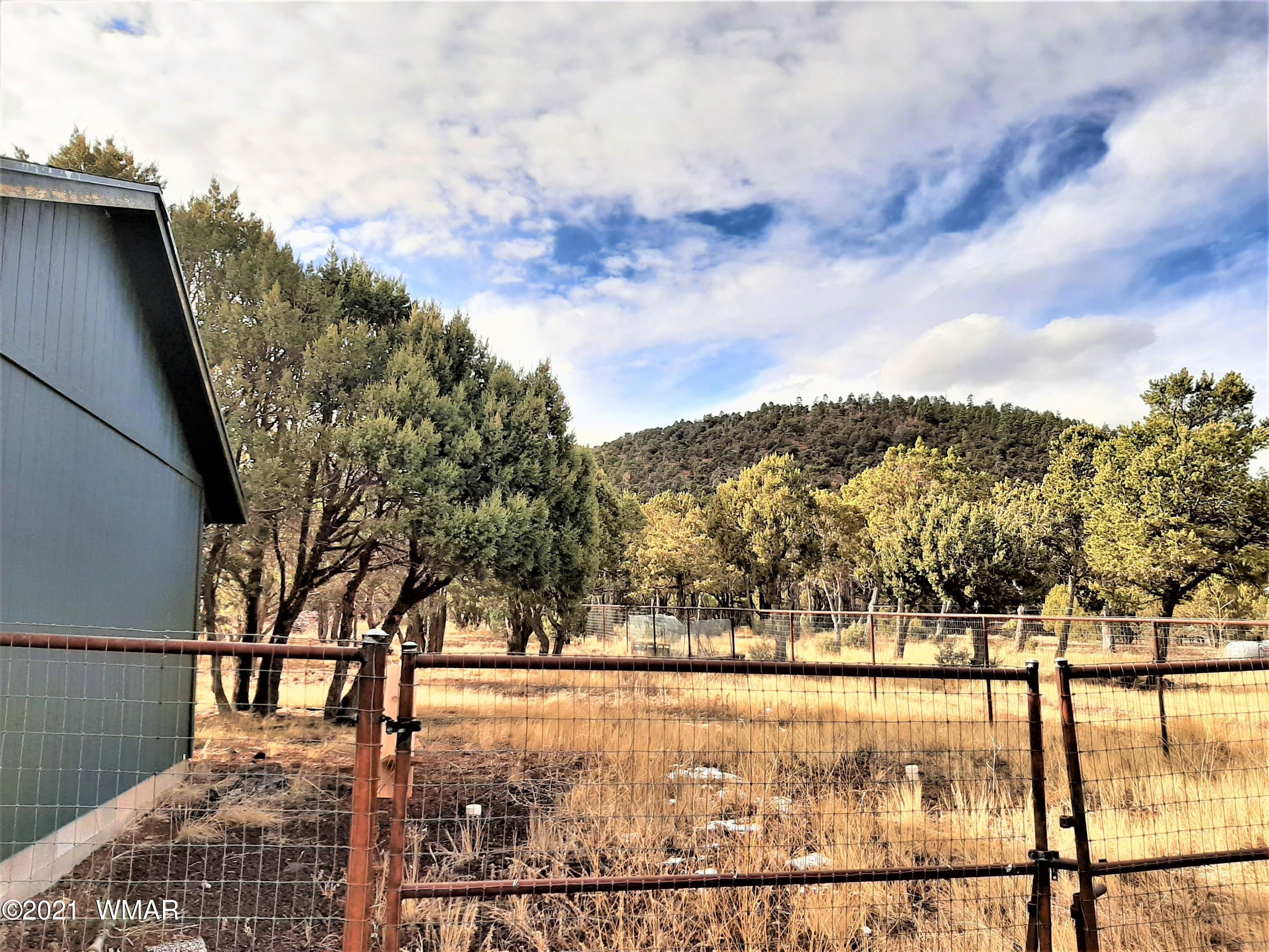 7 Co Road Vernon, AZ 85940 - Photo 47 of 53