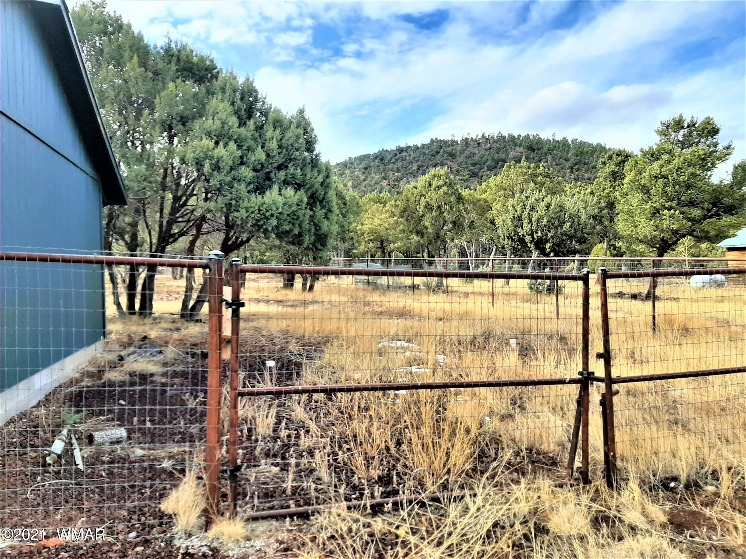 7 Co Road Vernon, AZ 85940 - Photo 48 of 53