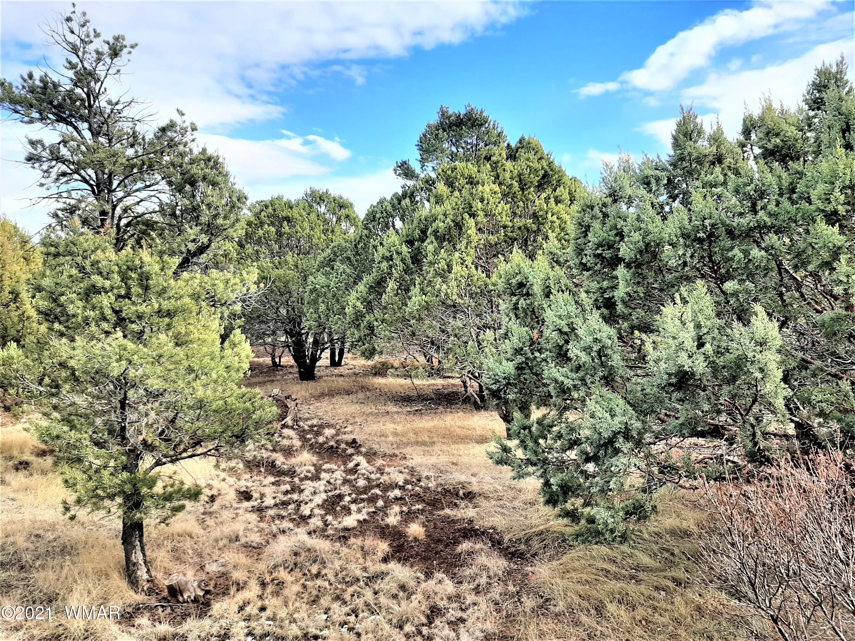 7 Co Road Vernon, AZ 85940 - Photo 51 of 53