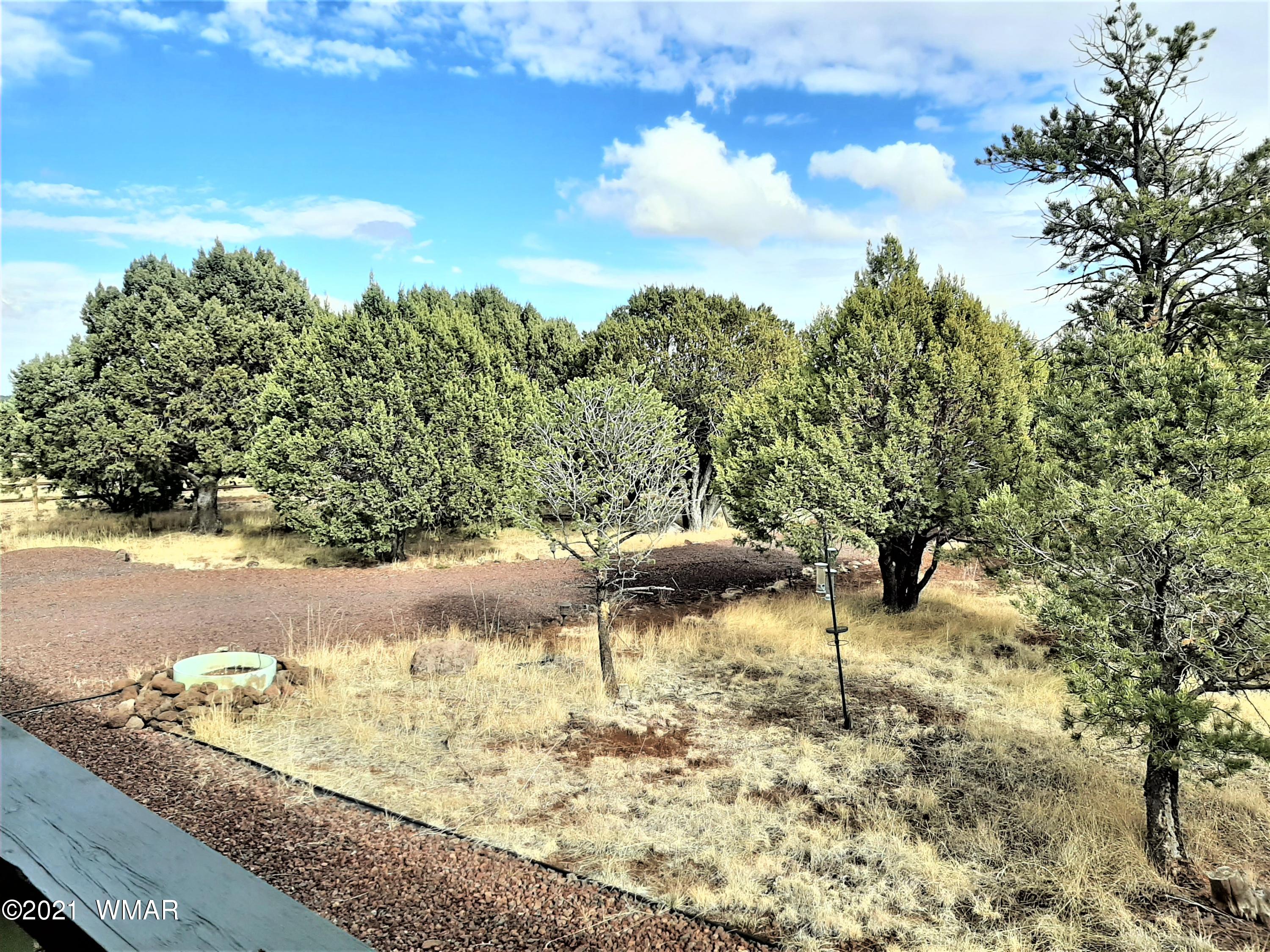 7 Co Road Vernon, AZ 85940 - Photo 52 of 53