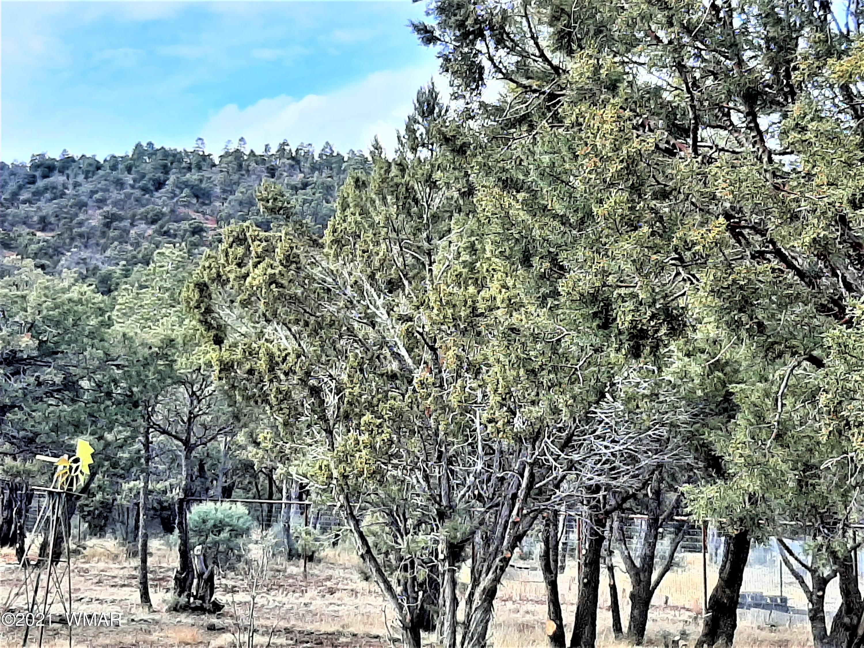 7 Co Road Vernon, AZ 85940 - Photo 53 of 53
