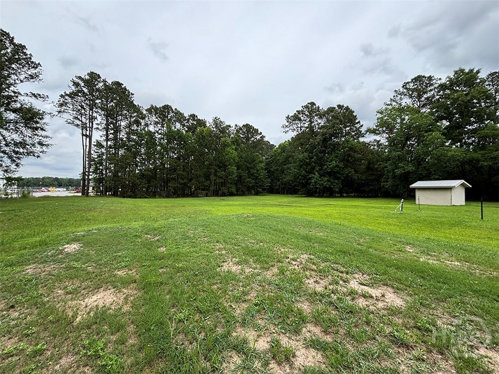 100 Old Louisville Road Pooler, GA 31322 - Photo 2 of 7