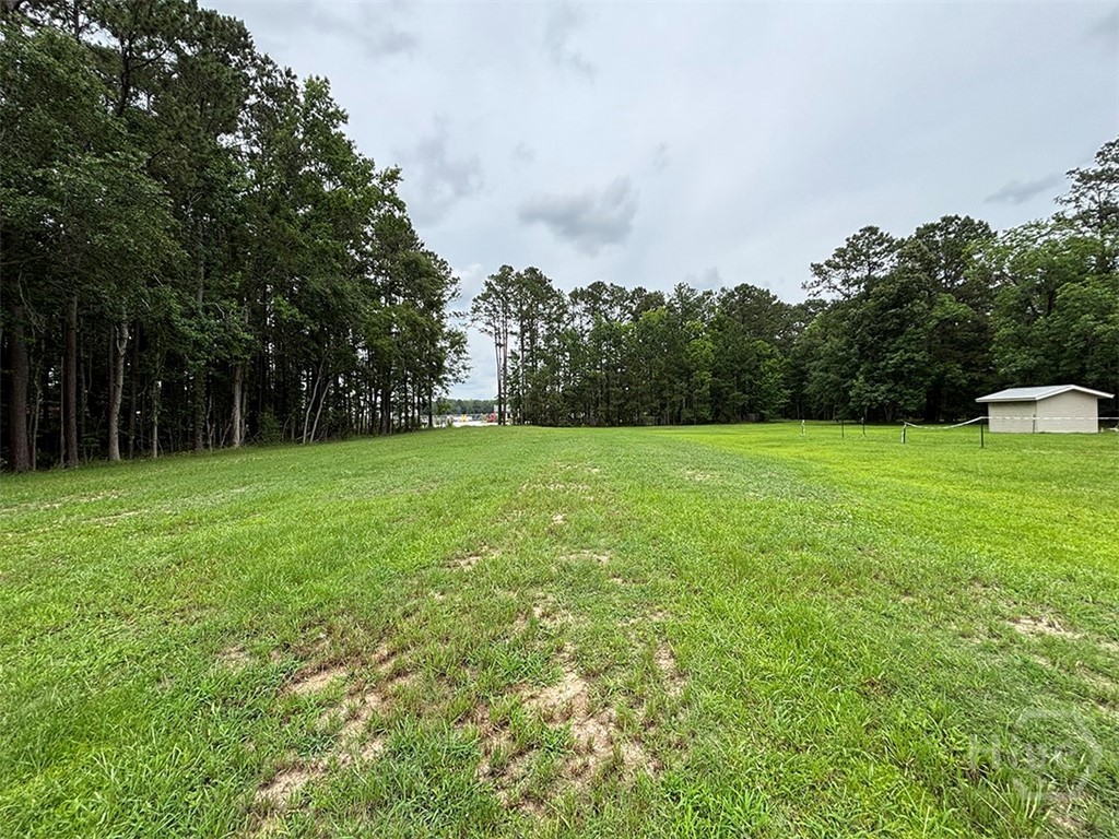 100 Old Louisville Road Pooler, GA 31322 - Photo 3 of 7