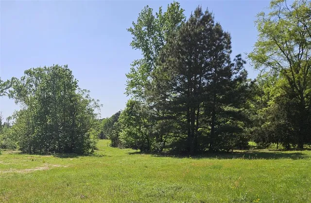a view of a green field with trees in the background