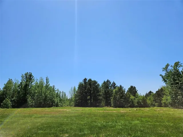 a view of a grassy field with trees