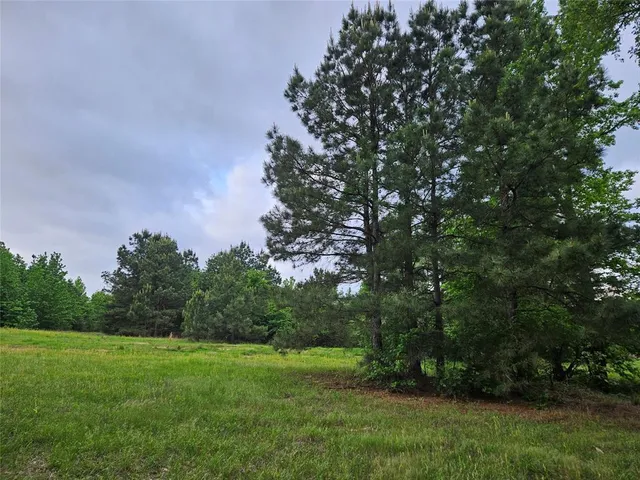 a view of a garden with trees