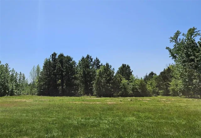 a view of a field with trees in the background