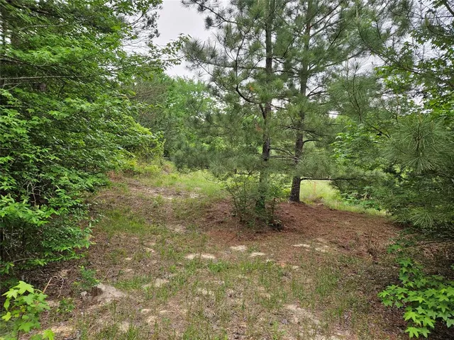 a view of a lake view with a tree