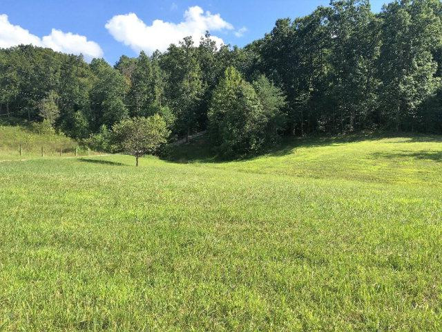 875 Crooked Creek Road Irvine, KY 40336 - Photo 4 of 17 Listing Photo