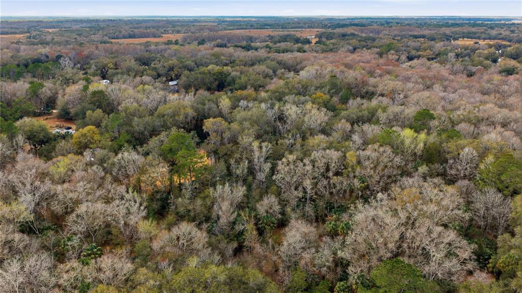 598 South Chambers Way Inverness, FL 34450 - Photo 3 of 5