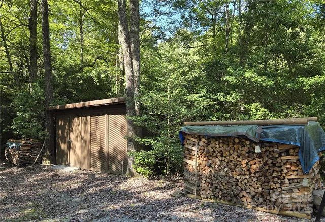 a view of a tree with a yard