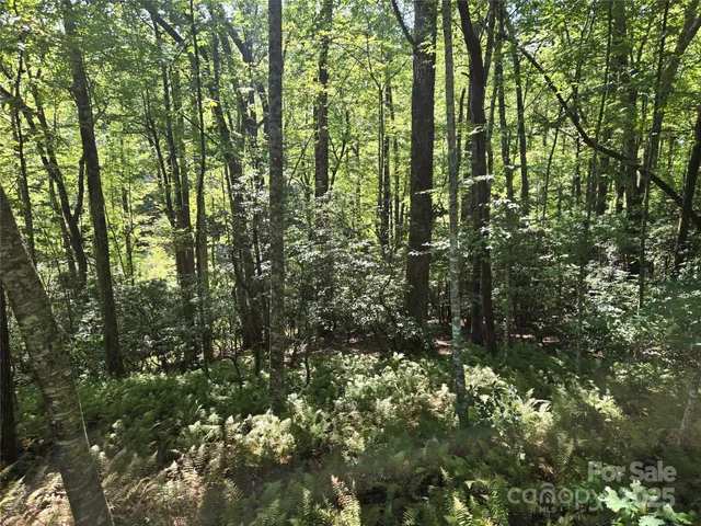 a view of house with yard outdoor seating and covered with trees