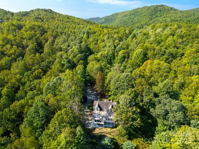 a view of a house with a small yard plants and large tree