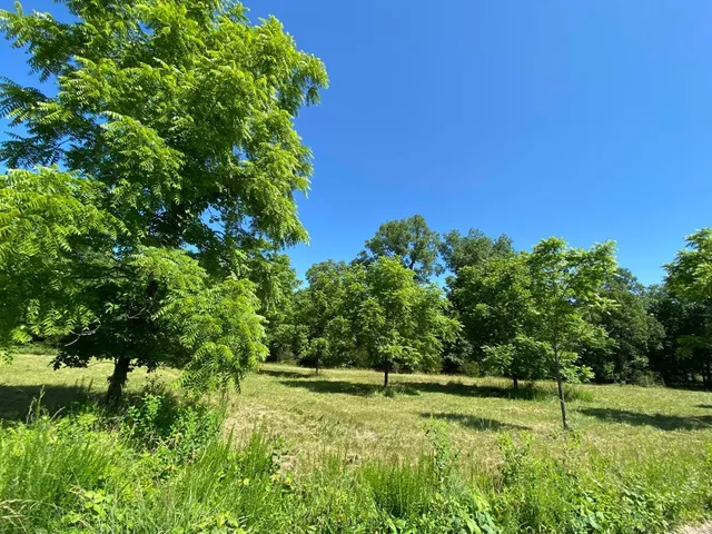 $299,900 | 37 County Road 343, Caulfield, MO 65626