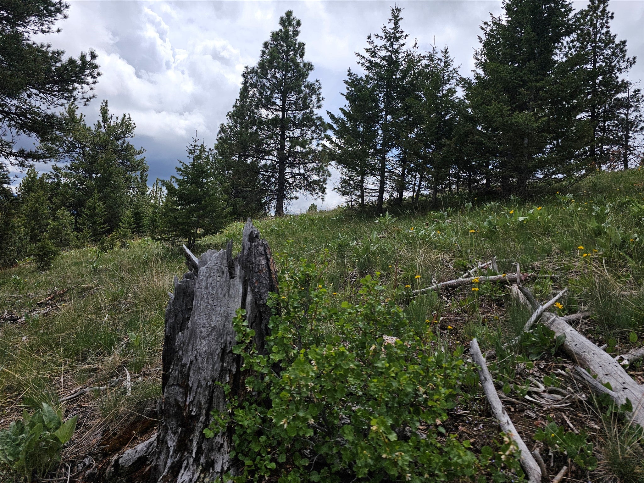 18866 Copper Rdg Trail Florence, MT 59833 - Photo 61 of 139 Gallery Image 61