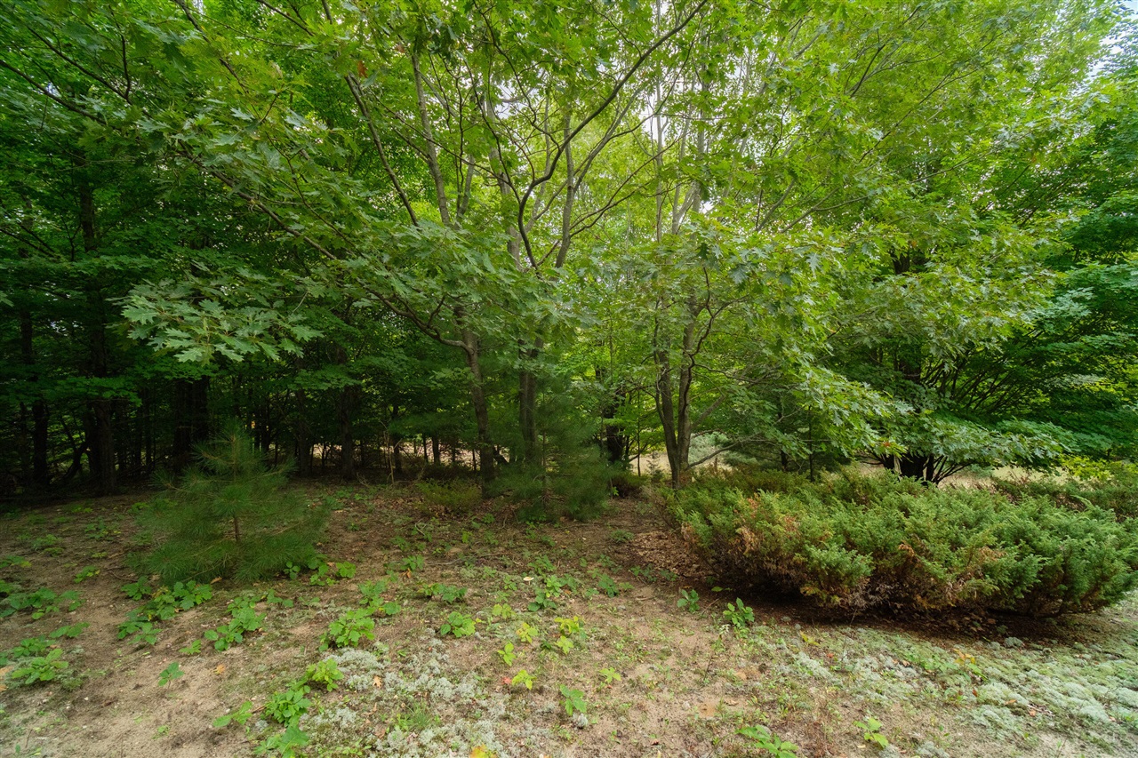 0 Erdman Road Onekama, MI 49675 - Photo 6 of 69 Gallery Image 6