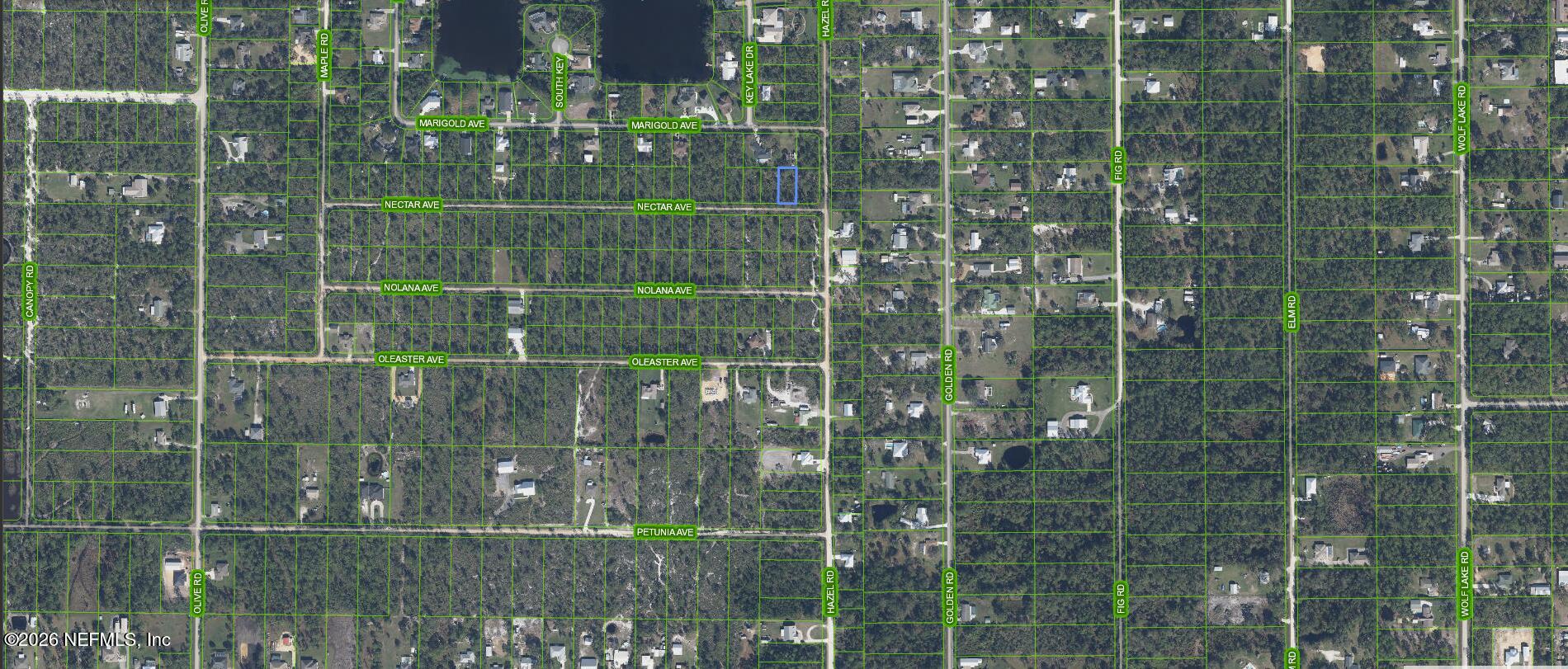 1602 Nectar Avenue Sebring, FL 33875 - Photo 3 of 3 Nectar Full Image
