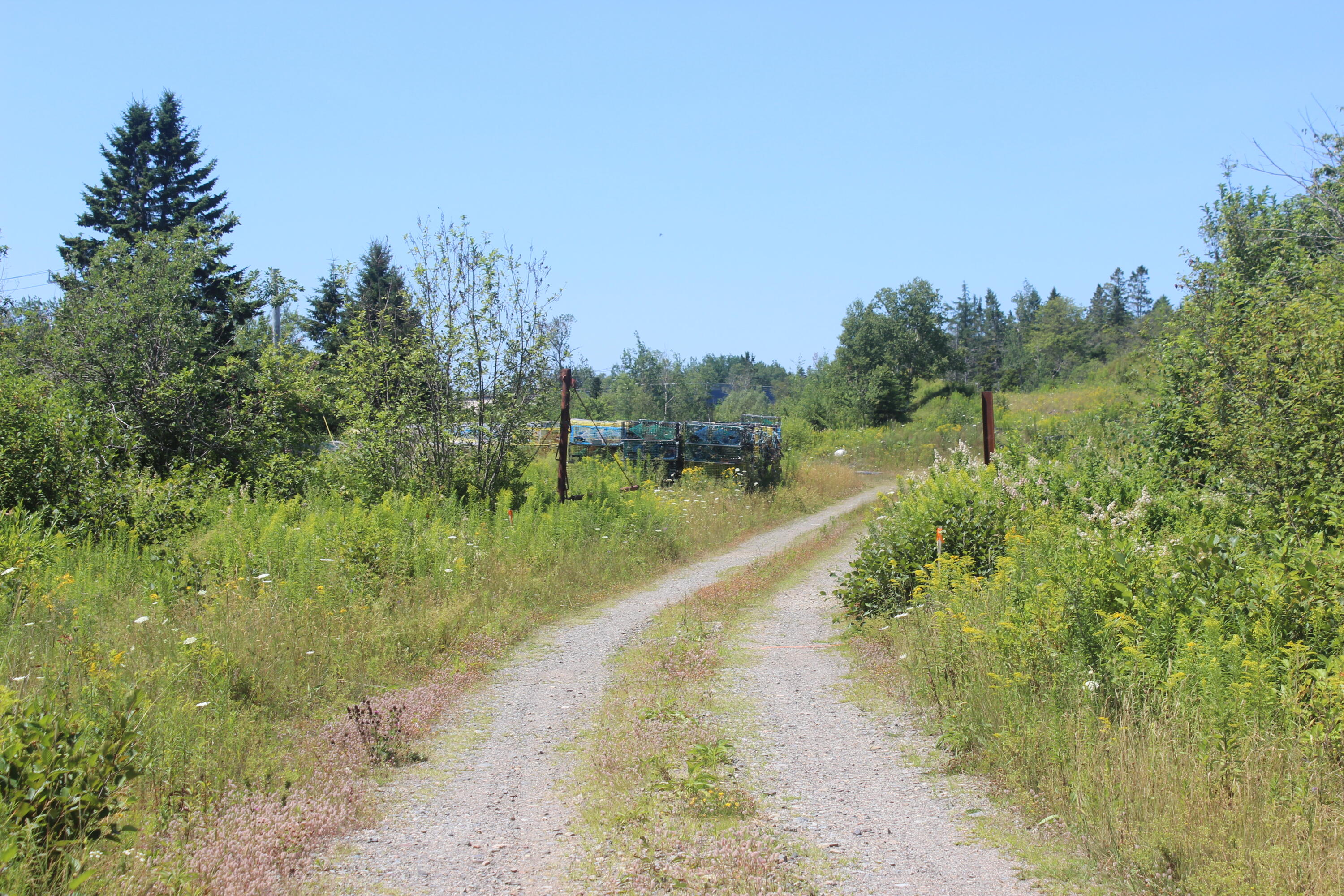 187 County Road Eastport, ME 04631 - Photo 6 of 18