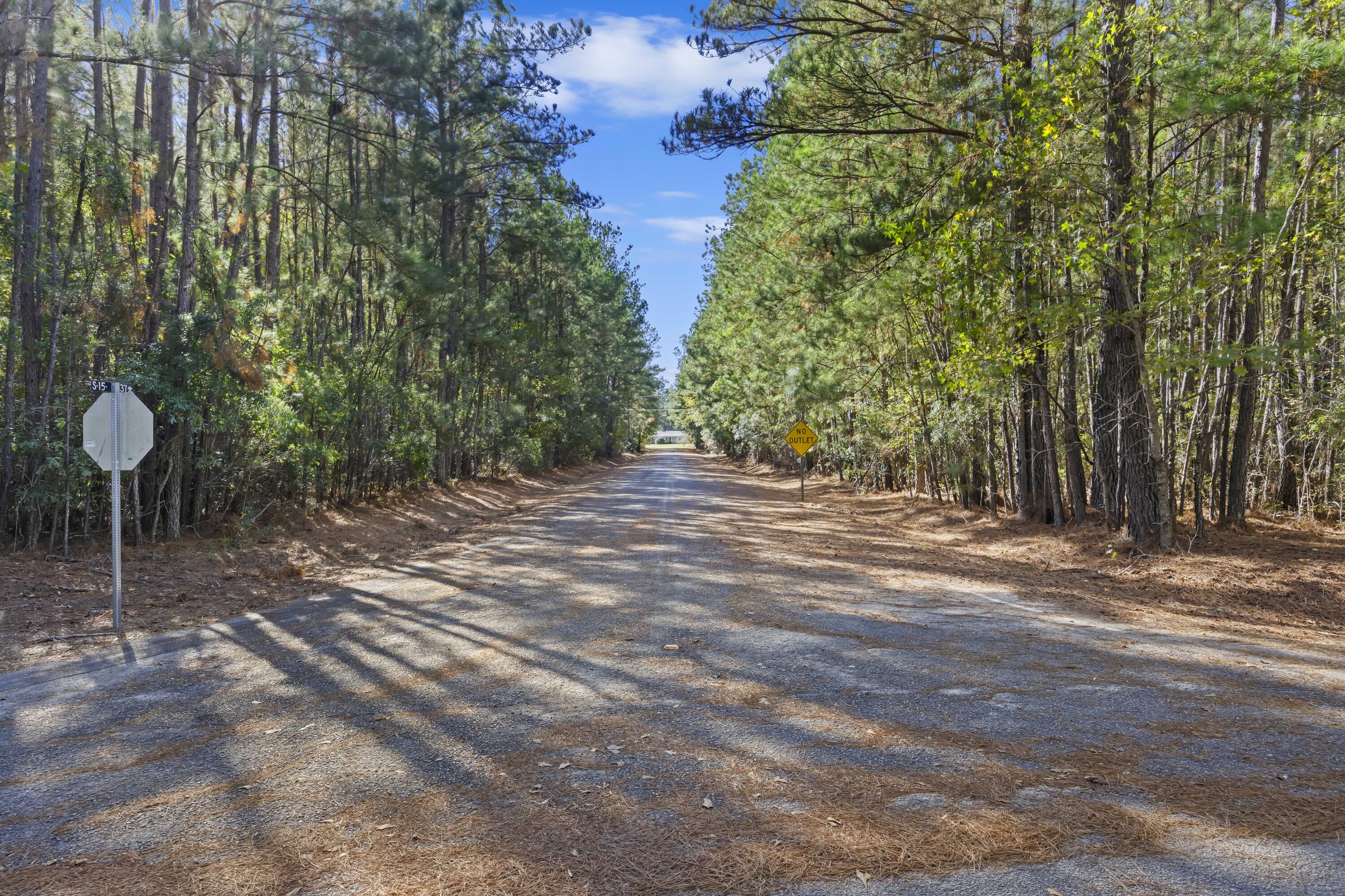 140 State Rd S-15-437 Ruffin, SC 29475 - Photo 42 of 54 243A8115