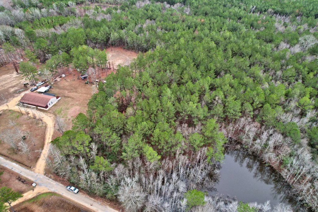 Tbd Headstart Lane Liberty, MS 39645 - Photo 2 of 5 Photo 2