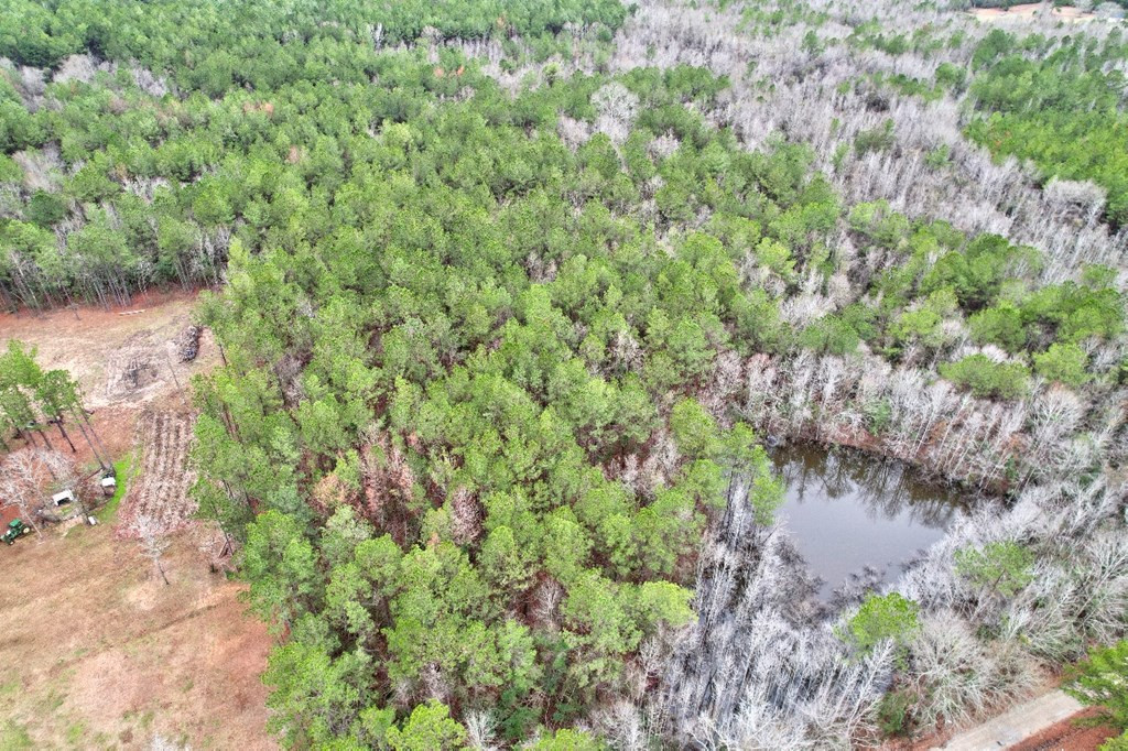 Tbd Headstart Lane Liberty, MS 39645 - Photo 3 of 5 Photo 3