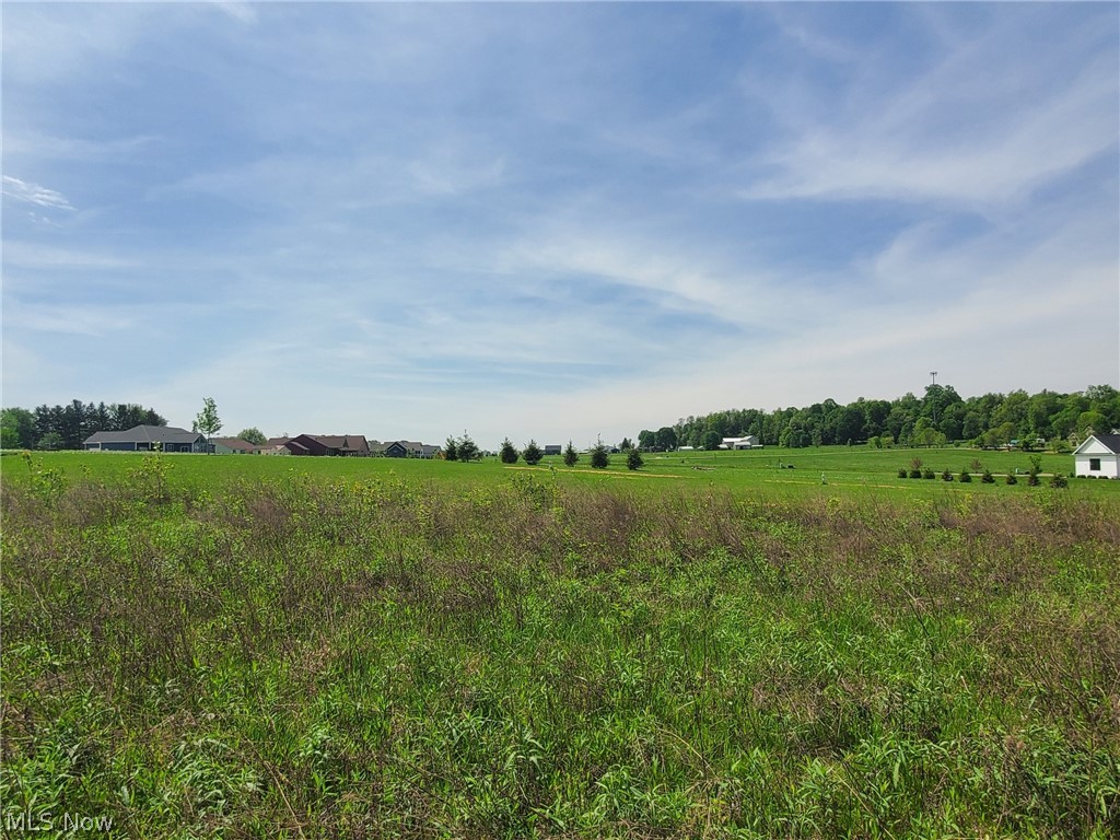3 Beach Road Wadsworth, OH 44281 - Photo 4 of 9 View toward back of property