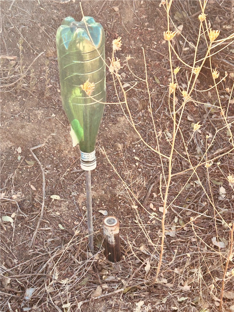 37551 Pisgah Peak Road Yucaipa, CA 92399 - Photo 2 of 10