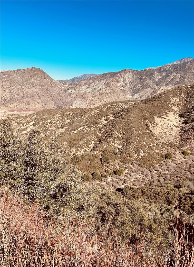 37551 Pisgah Peak Road Yucaipa, CA 92399 - Photo 5 of 10 a view of a dry yard