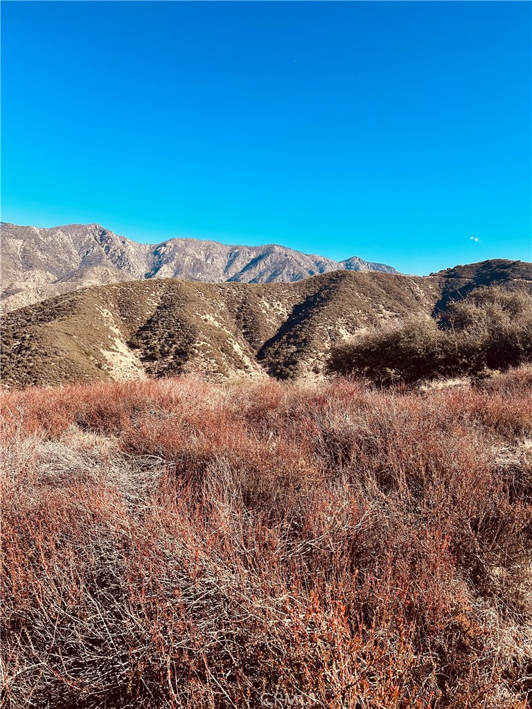 37551 Pisgah Peak Road Yucaipa, CA 92399 - Photo 8 of 10 a view of a large mountain with a mountain in the background
