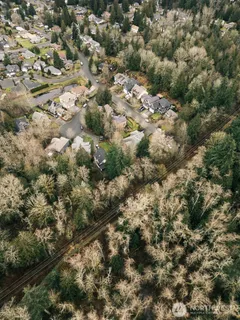 a view of a forest with trees in the background