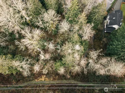 a bathroom with a shower curtain