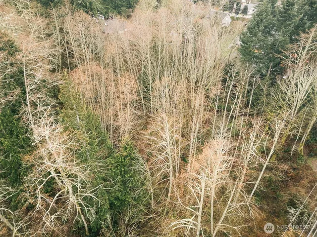 $250,000 | 0 Lopez Street, Bellingham, WA 98229