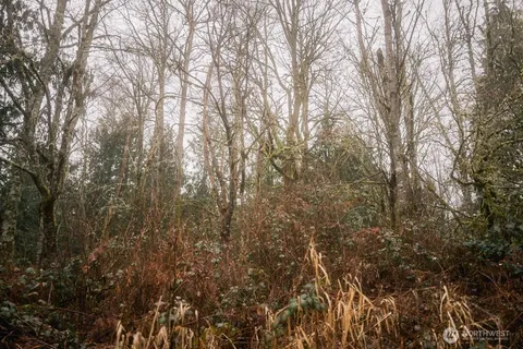 a view of backyard with green space