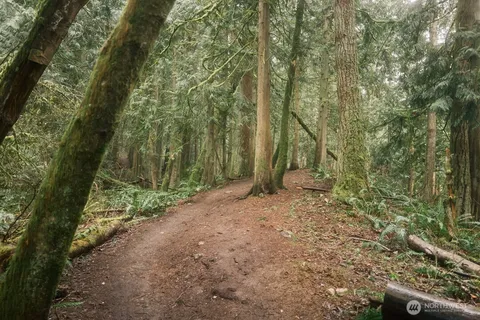 a view of outdoor space and garden