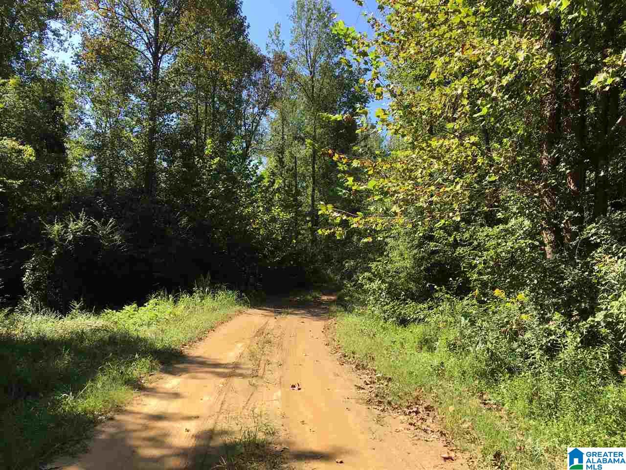 0 Bull Hollow Road, Unit 58 ACRES Gallant, AL 35972 - Photo 8 of 9