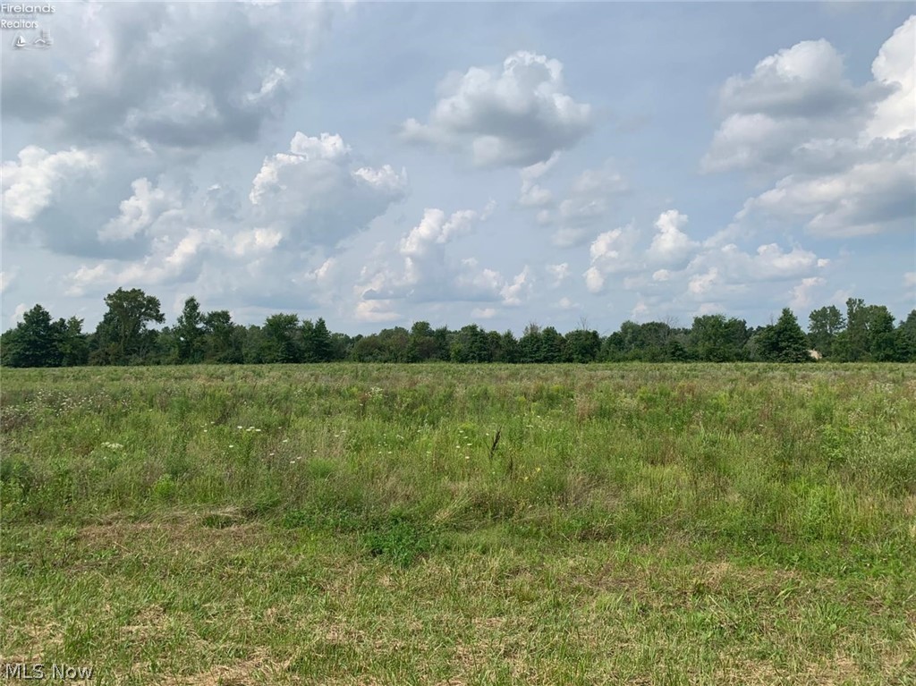 41022 Parsons Road Lagrange, OH 44050 - Photo 2 of 2
