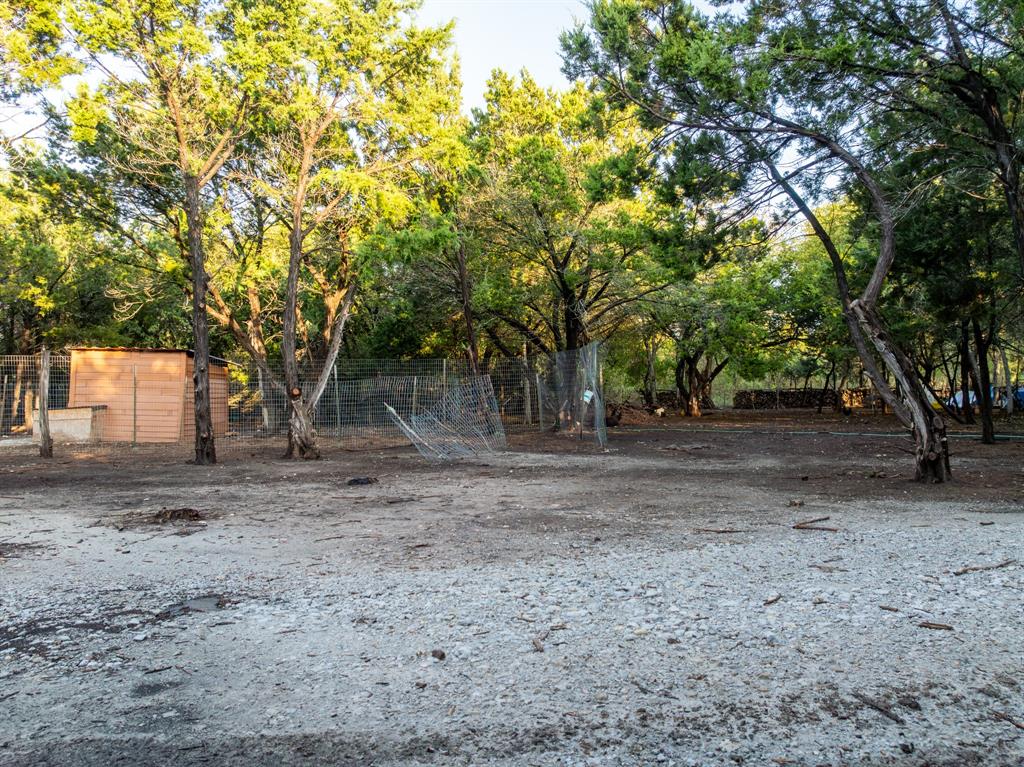 429 County Road 1191 Kopperl, TX 76652 - Photo 16 of 30 View of yard with view of scattered trees