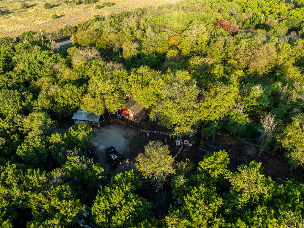 429 County Road 1191 Kopperl, TX 76652 - Photo 20 of 30 Bird's eye view of a heavily wooded area