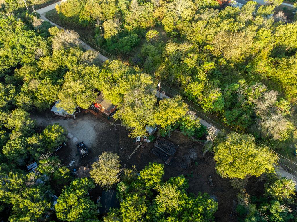 429 County Road 1191 Kopperl, TX 76652 - Photo 21 of 30 Bird's eye view of a forest