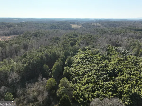 a view of a yard with an outdoor space