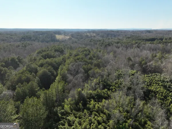 a view of city and mountain