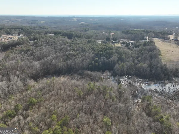 a view of a dry yard