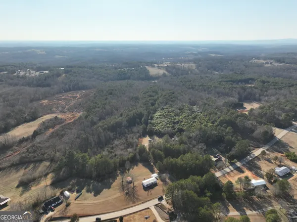 a view of a dry yard