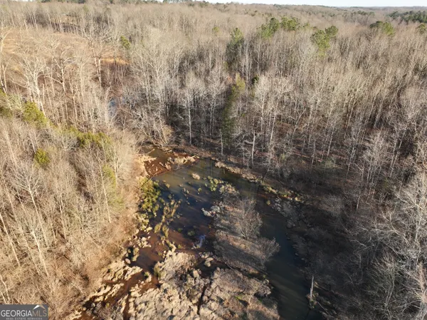 a view of a dry yard with trees all around