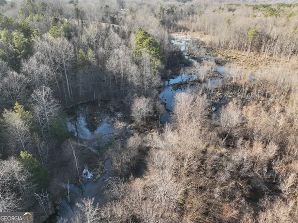 a view of a dry yard