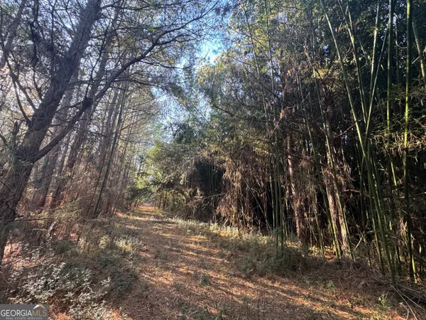 a view of outdoor space with trees