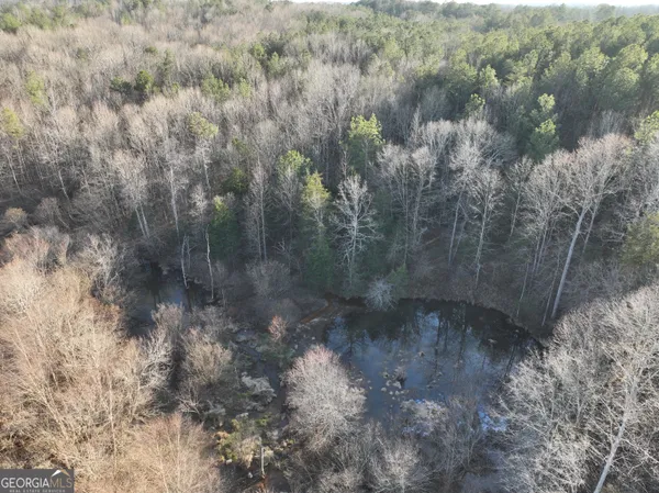 a view of a dry yard