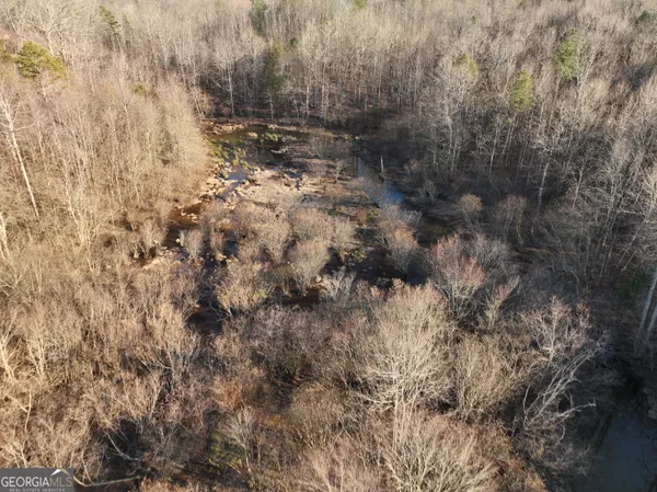 a view of city and mountain