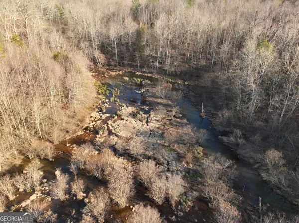 a view of a dry yard