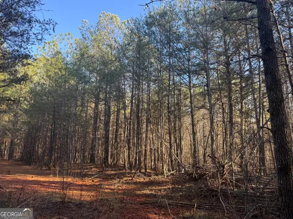 a view of a building with large trees